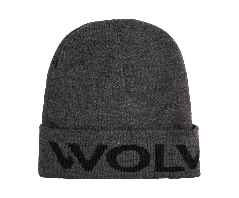 Wolverine Logo Kepsar Herr Grå | NWE317420